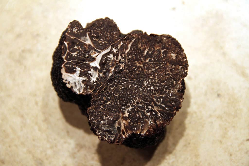 Intensiver, exquisiter Geschmack: Schwarzer Trüffel - Tuber melanosporum